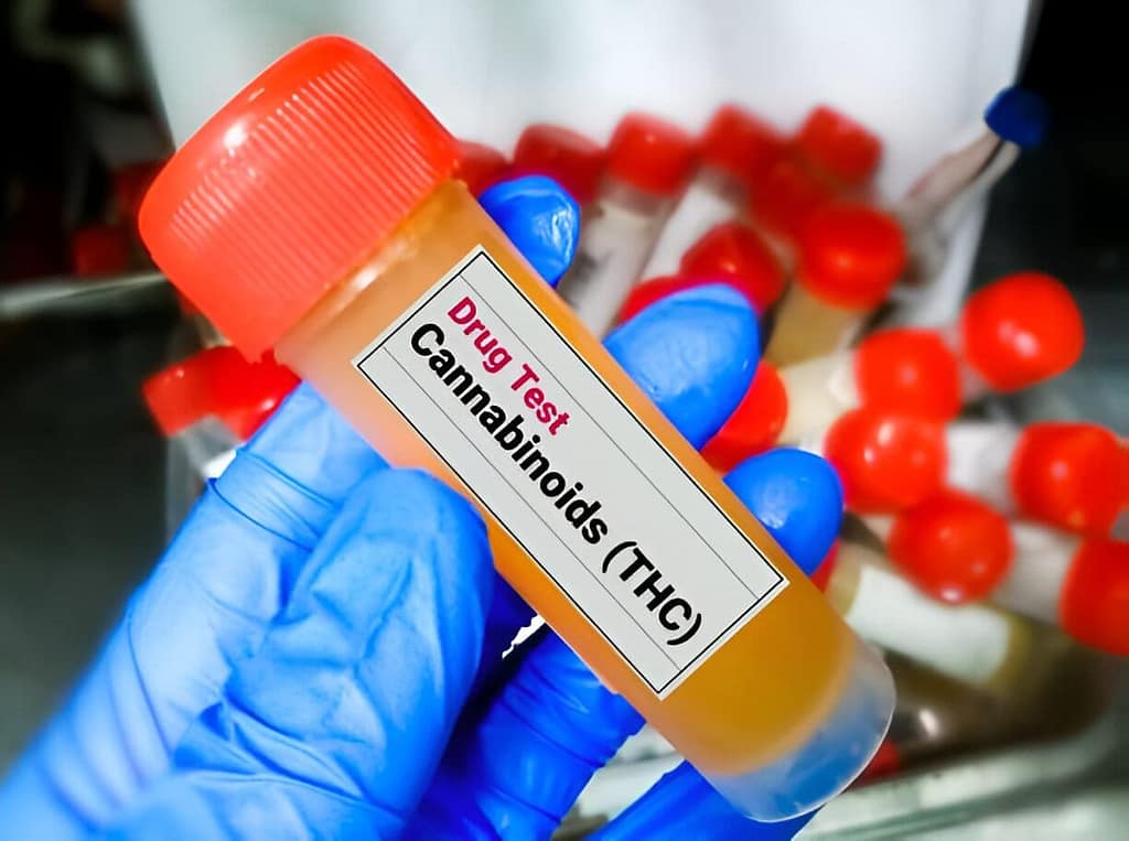 Drug Test Services